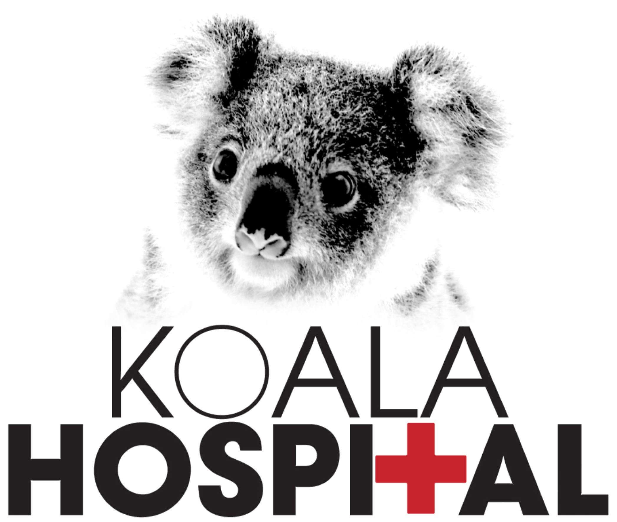 Port Macquarie Koala Hospital